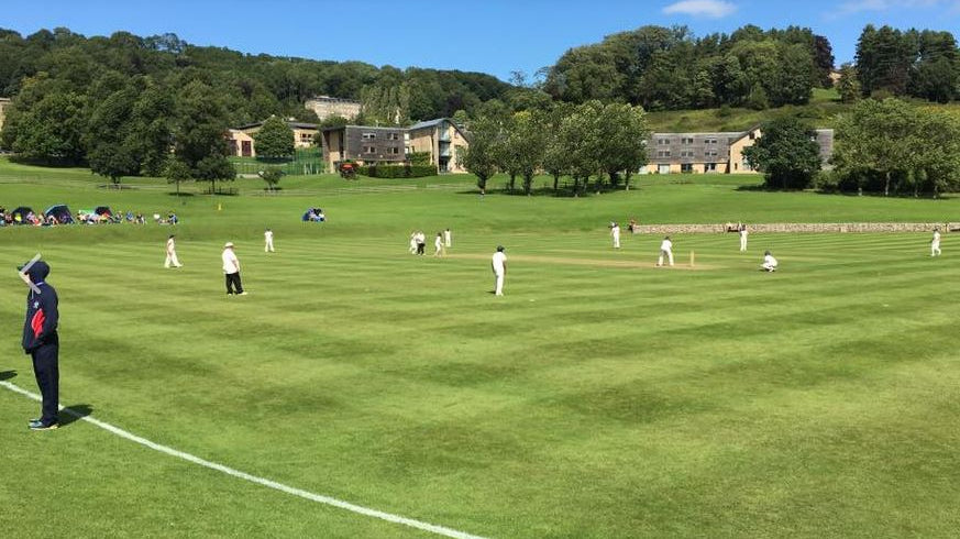 Cricket Festivals