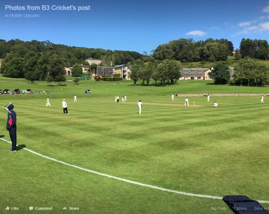 Cricket Festivals