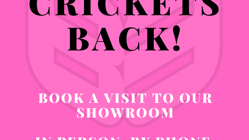 Crickets Back!