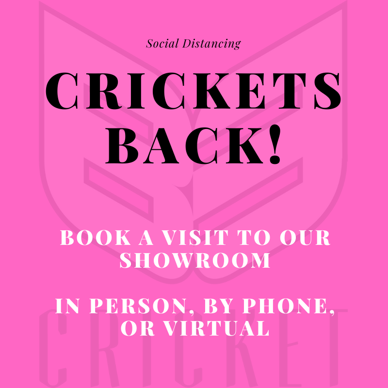 Crickets Back!