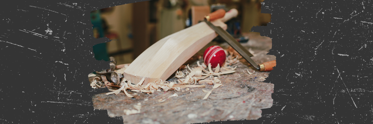 Business Insider Reaction: The Truth About English Willow Cricket Bats