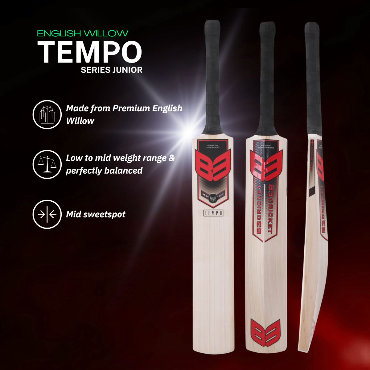 Tempo Junior Cricket Bat – English Willow Cricket – English Willow ...